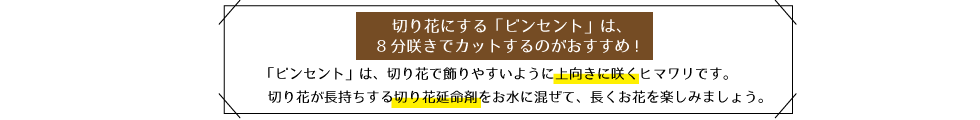 切り花を長く楽しむポイント